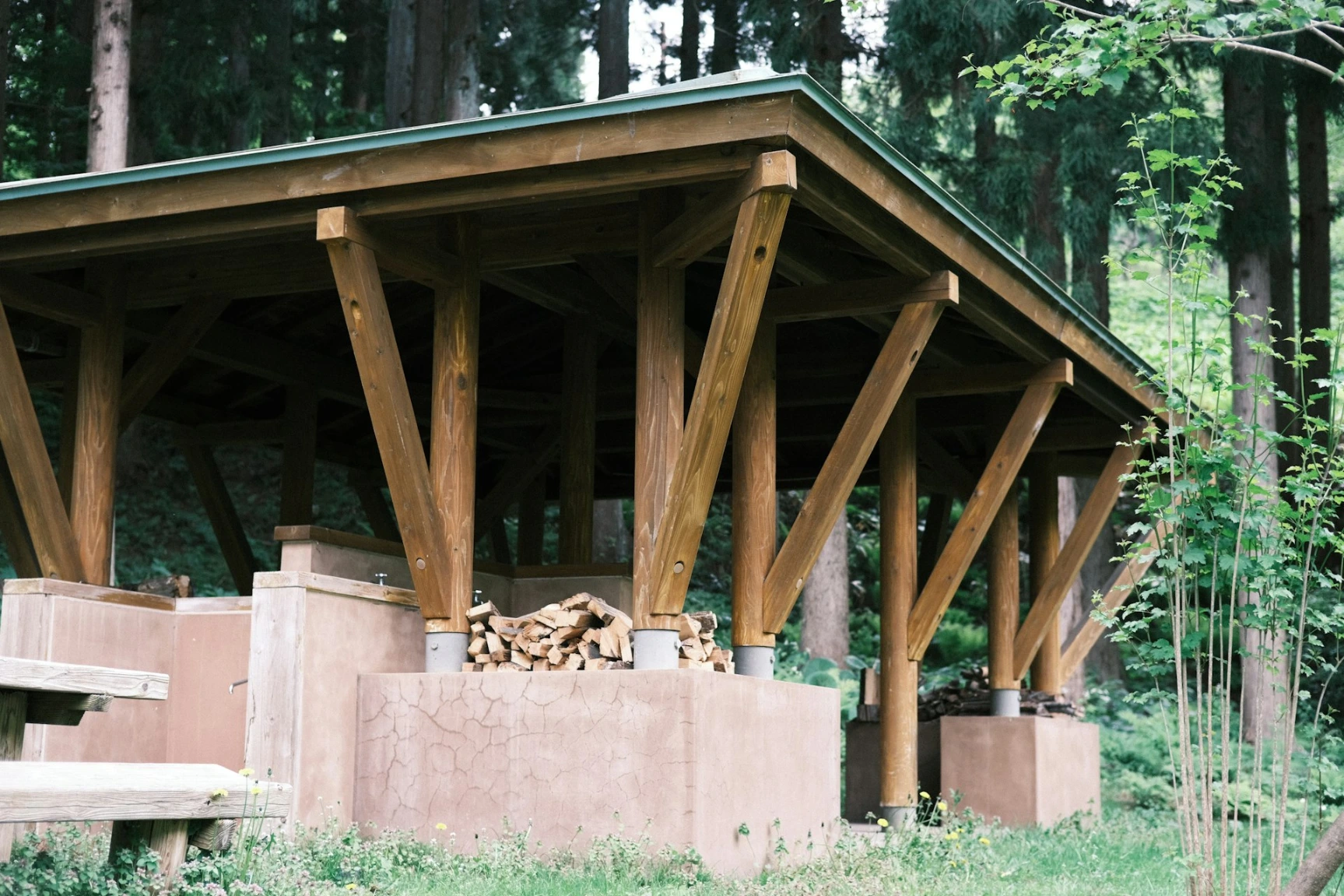 a wooden structure in the middle of a forest